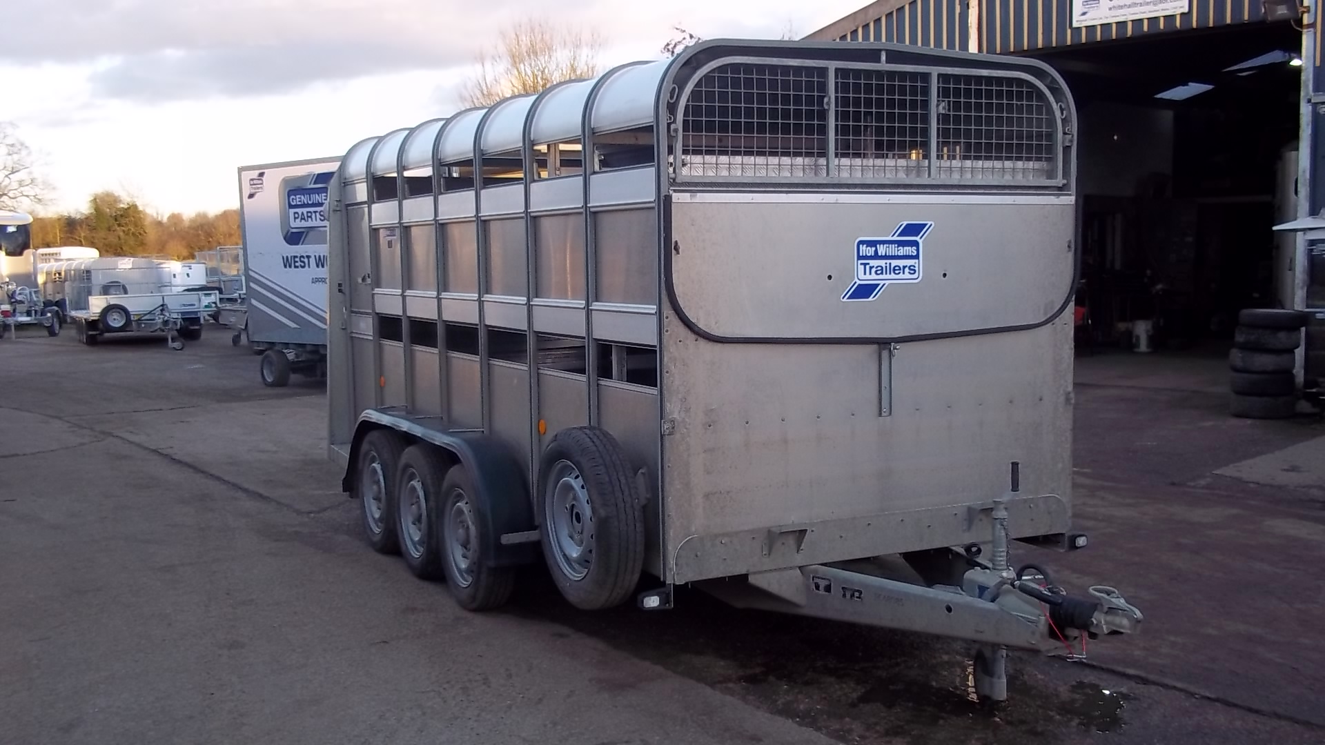 For Sale: Ifor williams TA510 14ft livetsock trailer